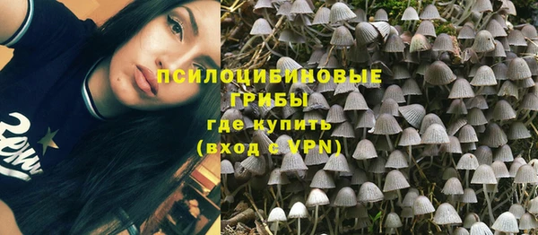Альфа ПВП Алексин