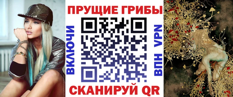 дарнет шоп  Кимры  Галлюциногенные грибы ЛСД 